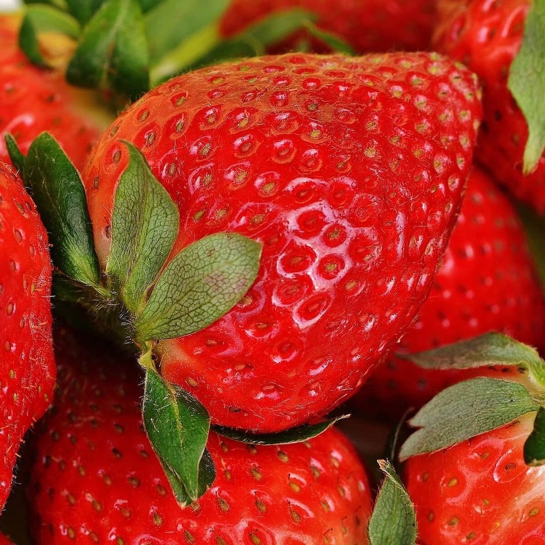 Strawberry Korona Bright Red Sweet Fruit