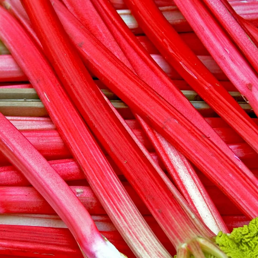 Rhubarb Raspberry Red Harvested