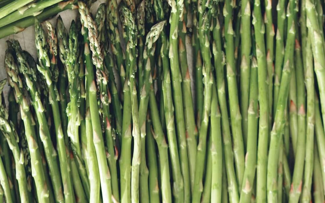 Asparagus