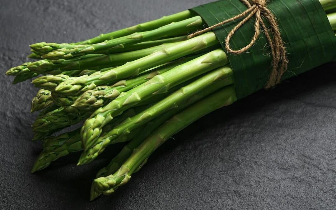 Asparagus Xenolim