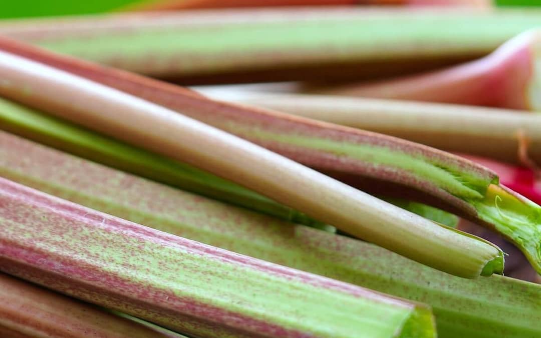Rhubarb Victoria