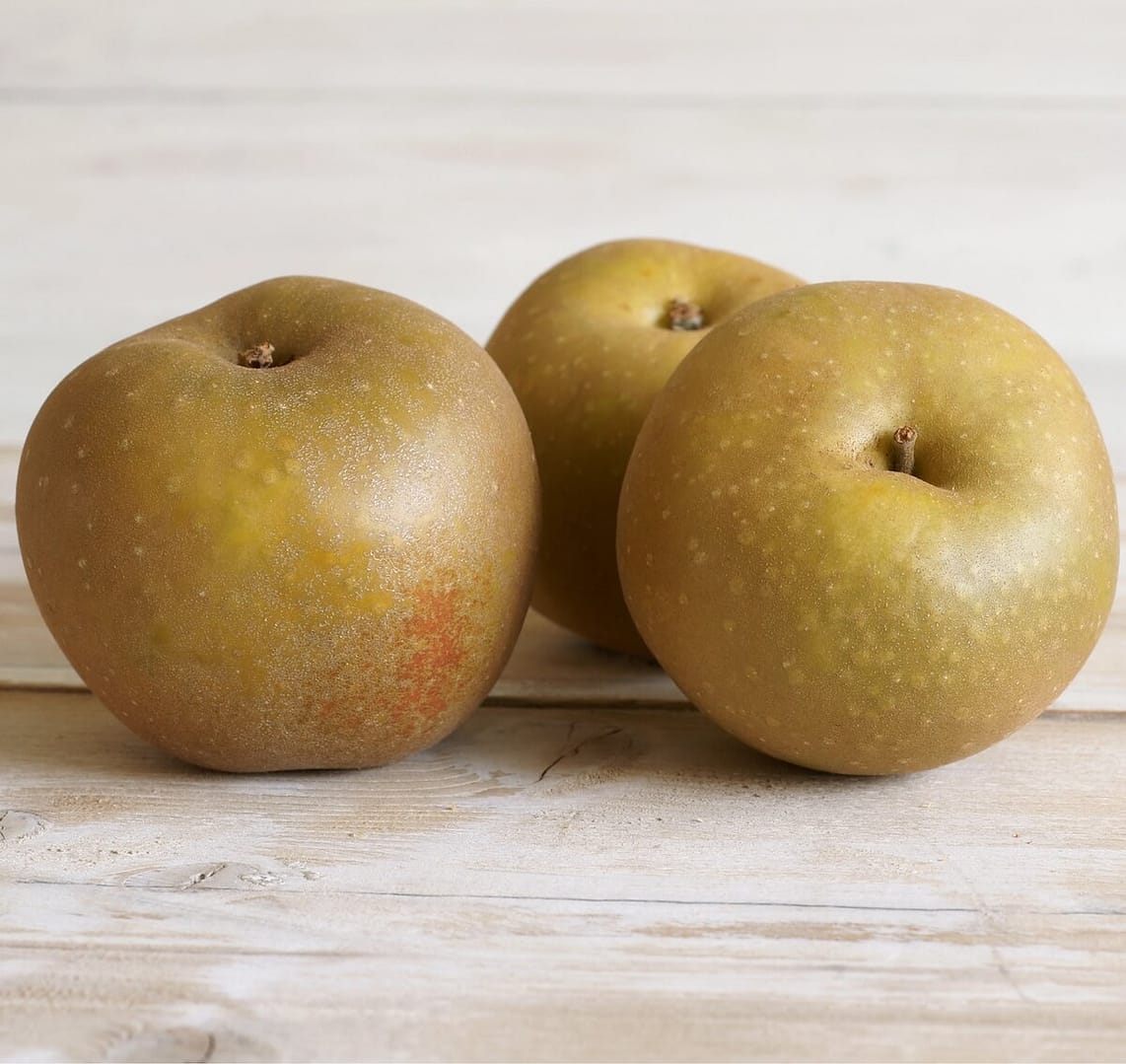 Apple Egremont Russet Harvested Fruit Apple Egremont Russet Harvested Fruit