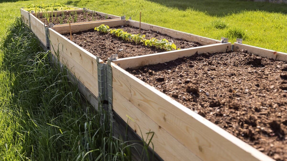 Raised Bed For Planting Vegetables Filled with Soil Raised Bed For Planting Vegetables Filled with Soil
