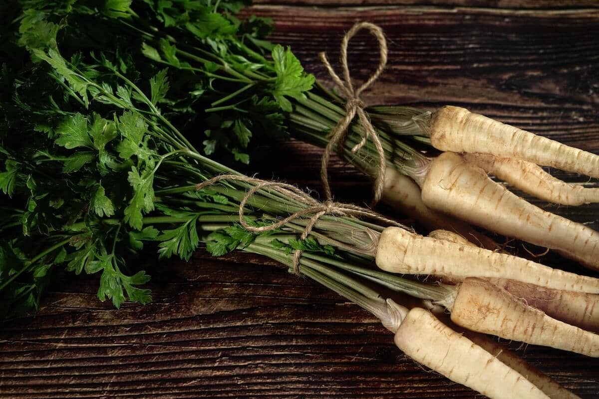 Bunch of Parsnips