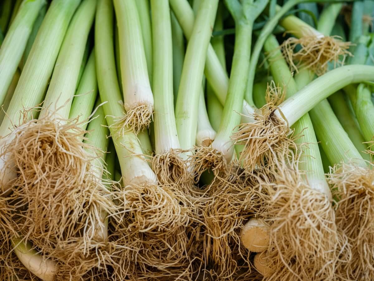 Leeks