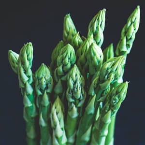 Asparagus Backlim