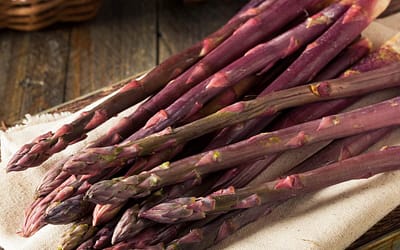 Asparagus Erasmus