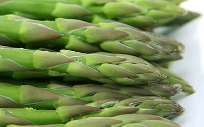 Asparagus Raffaello