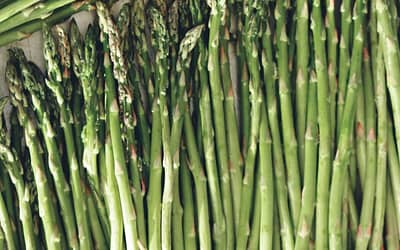 Asparagus