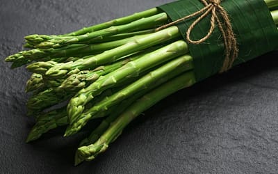 Asparagus Xenolim