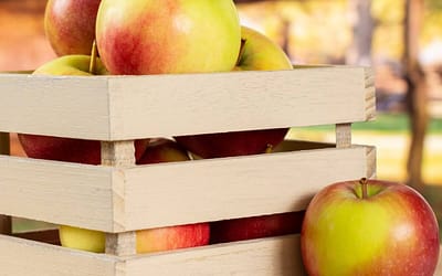 Apple James Grieve