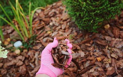 Garden Mulch Calculator
