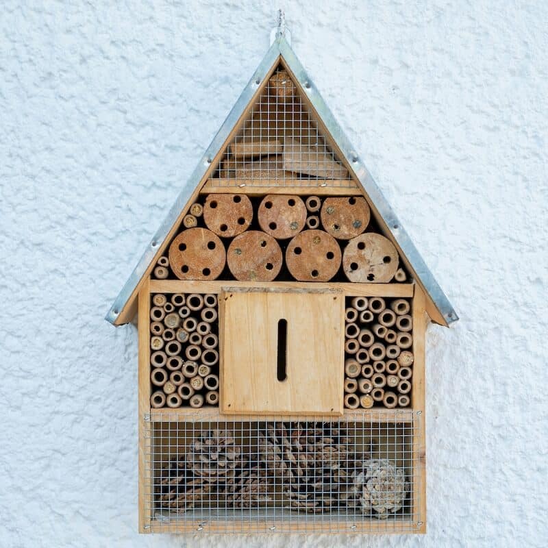 Insect & Bee Hotel Insect & Bee Hotel